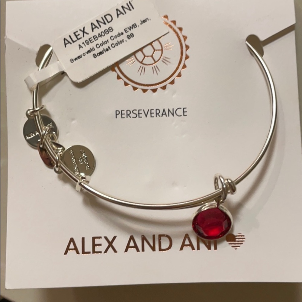 Alex and Ani bracelet